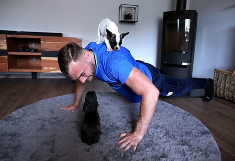 A trainer doing Push-ups with a puupy on his back in Frisco & Allen, TX