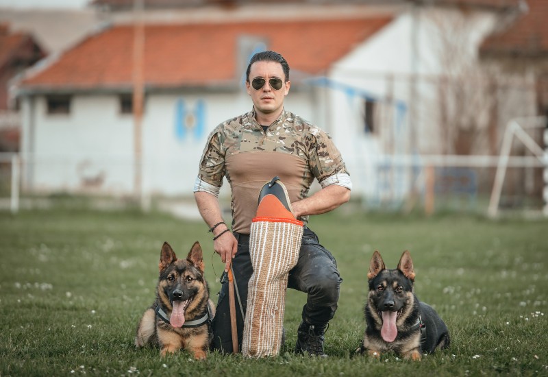 Dog trainer with German Shepherds shows control and advanced training skills in Frisco and Allen, TX