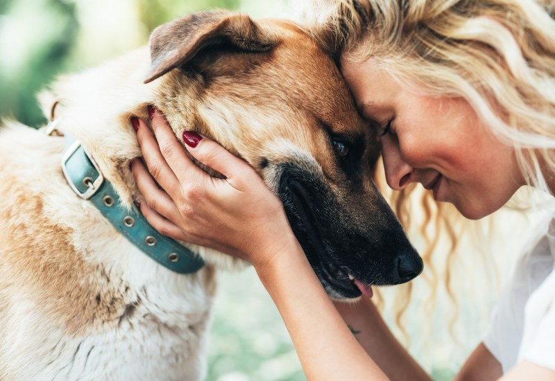 Woman touches foreheads with her dog in a tender outdoor moment