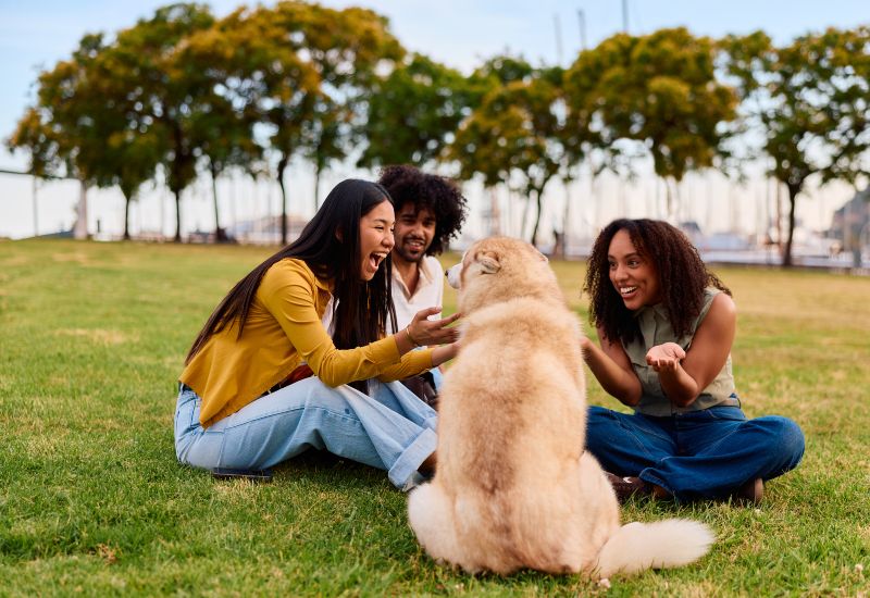 Friends bonding with a dog at an outdoor park, promoting dog socialization in Frisco & Allen, TX