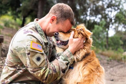 Army veteran with a golden retriever service dog building confidence in Frisco and Allen, TX