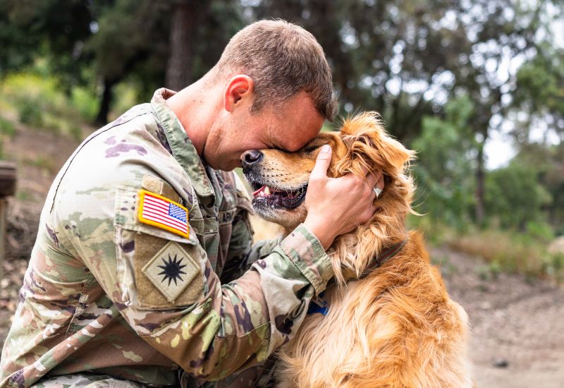Army veteran with a golden retriever service dog building confidence in Frisco and Allen, TX
